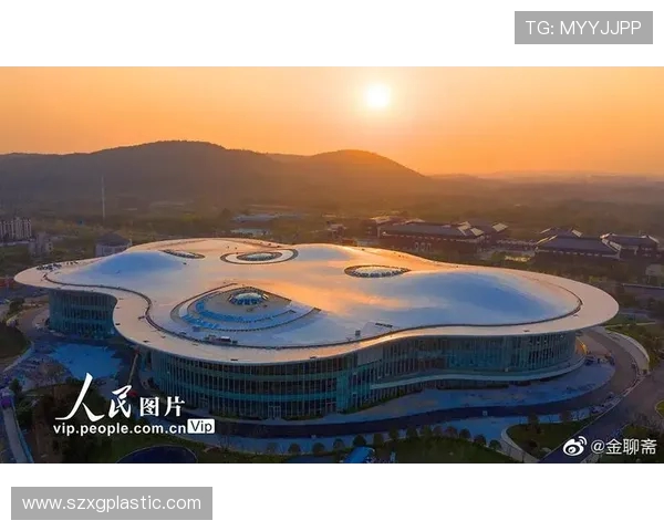 南京极限运动队意识表现的数据分析与研究探讨 南京极限运动队意识表现的数据分析与研究探讨