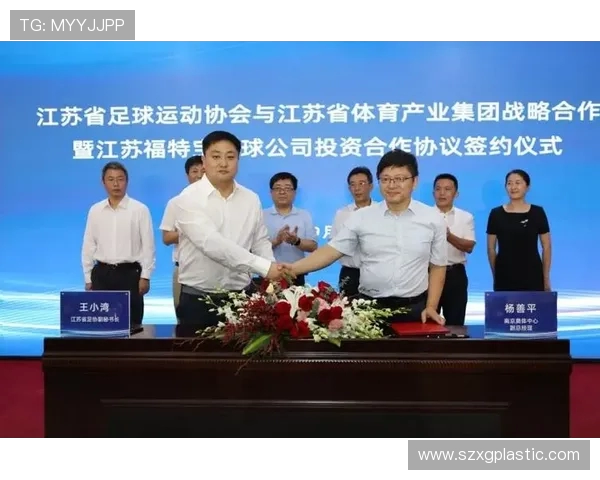 成都足球队运营模式解析与未来发展展望