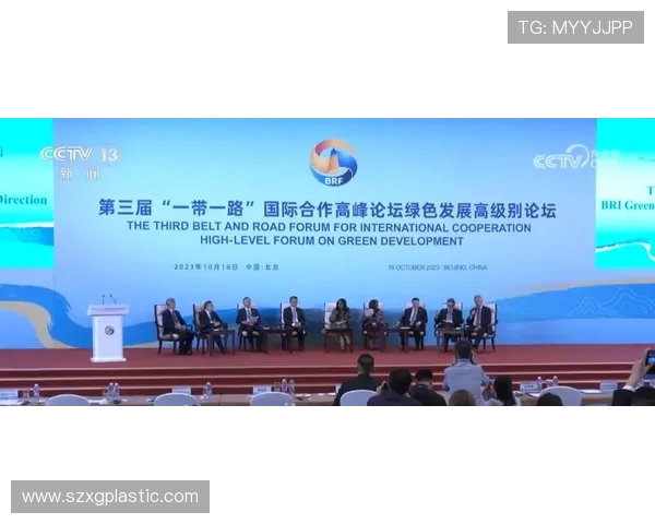 武汉飞盘队个人能力提升之道：聚焦团队协作与个体发展