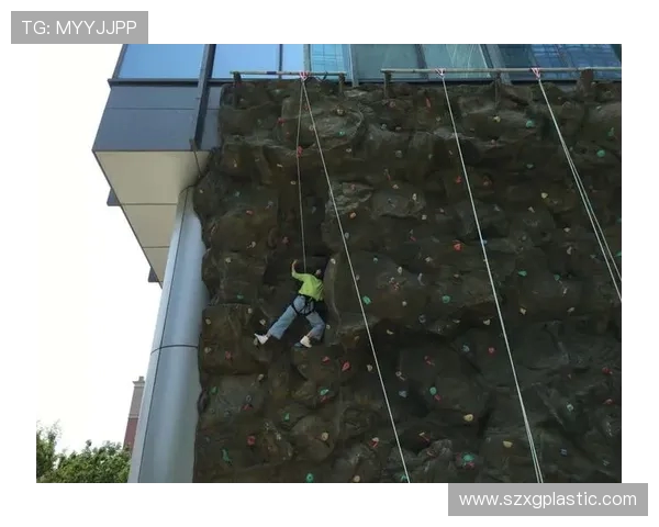 西安攀岩队个人能力表现数据分析与提升策略探讨 西安攀岩队个人能力表现数据分析与提升策略探讨