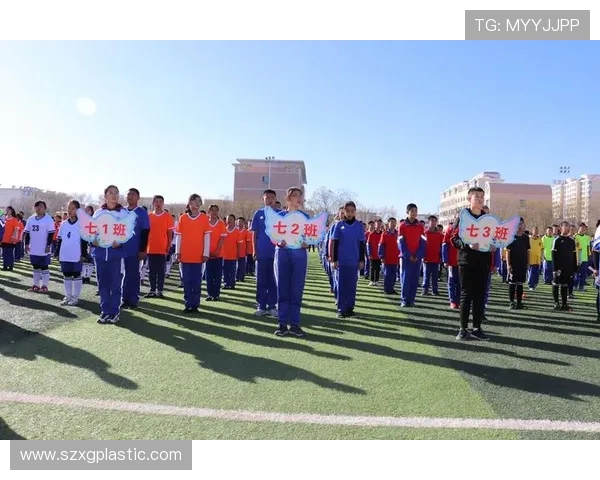 赵敏独家揭秘足球技巧与战术心得分享助你提升球技