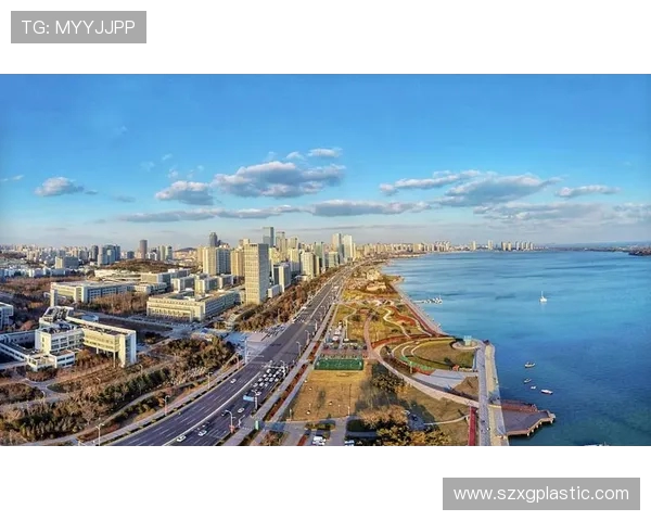 青岛西海岸新区发展新机遇:打造现代化海洋经济与创新城市融合示范区 青岛西海岸新区发展新机遇:打造现代化海洋经济与创新城市融合示范区