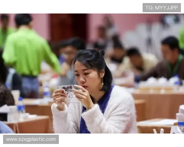 女排联赛激战正酣辽宁队与浙江队巅峰对决引发热烈关注